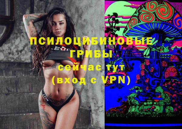 прущий лед Михайловка