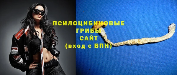 тгк Михайлов
