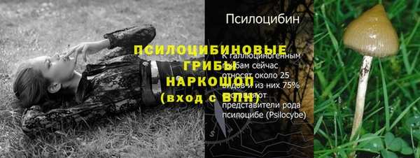 тгк Михайлов
