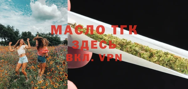 тгк Михайлов