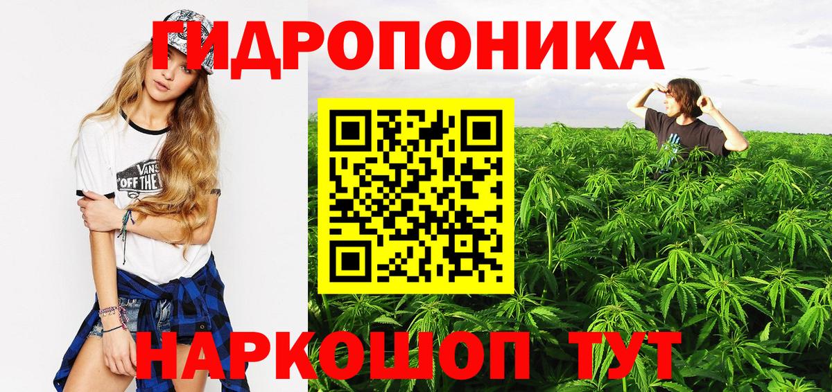 Бошки марихуана план Сухой Лог